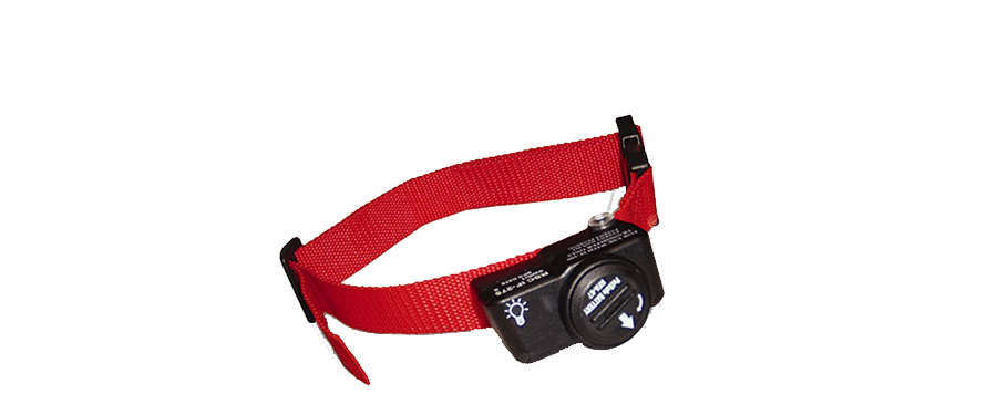 PetSafe® PIF-275 Wireless Collar